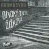 Hromosvod - Divoký Ticho Žižkova